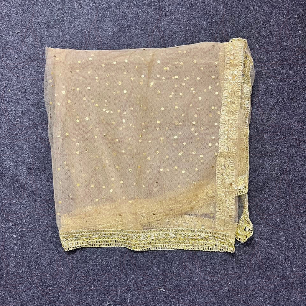 Gota Border Duppatta