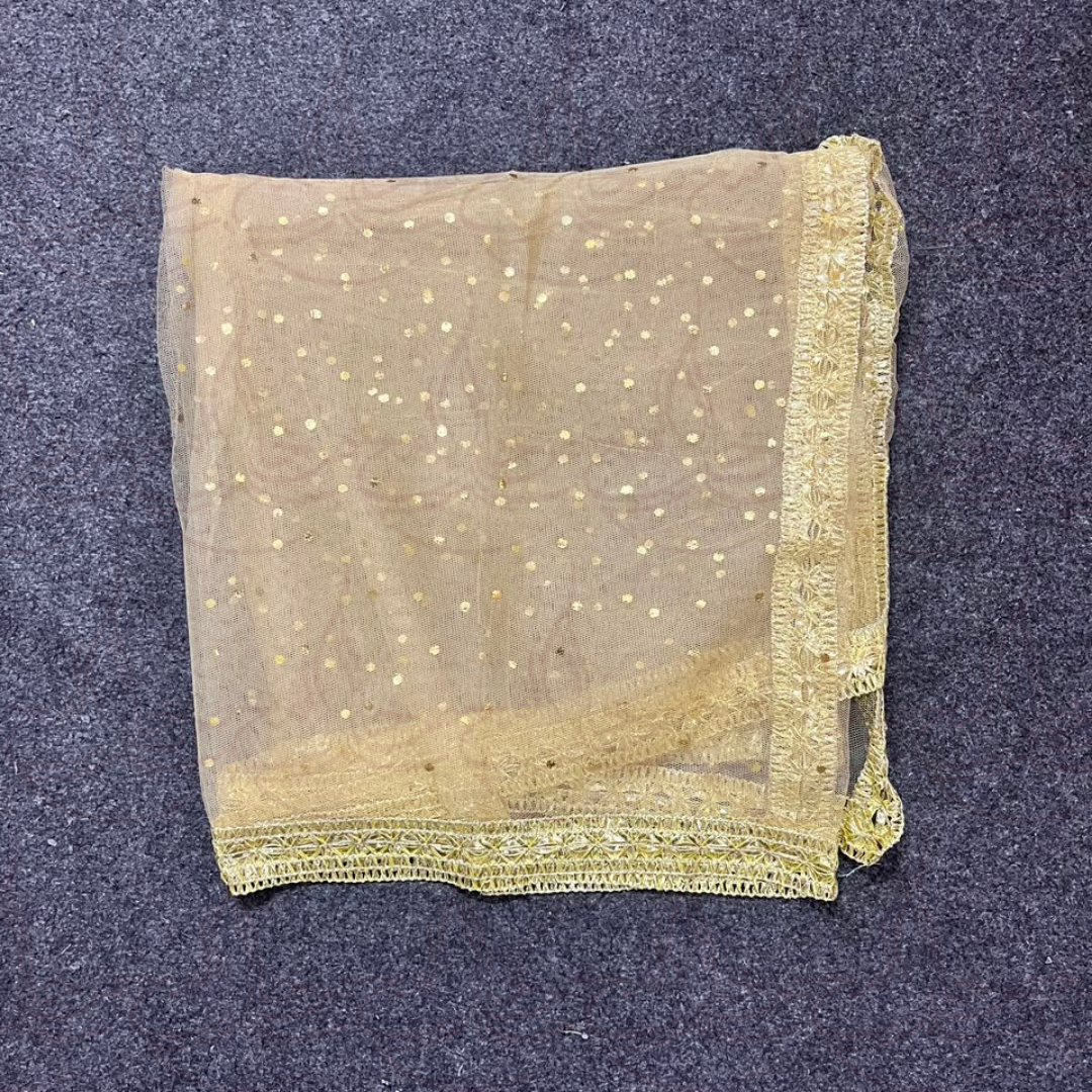Gota Border Duppatta